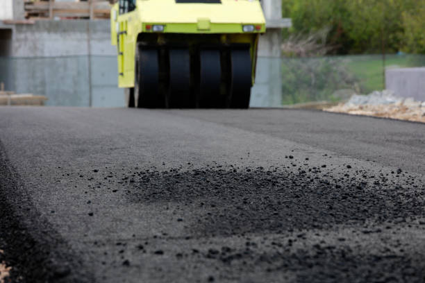 Best Driveway Pavers Near Me  in Havelock, NC