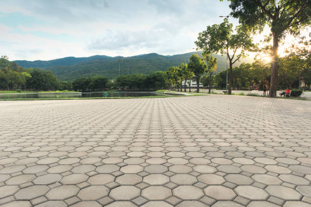 Best Custom Driveway Pavers  in Havelock, NC