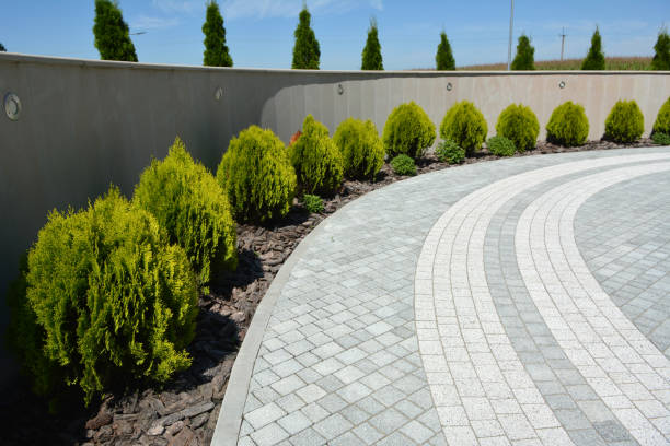 Best Driveway Repair Near Me  in Havelock, NC
